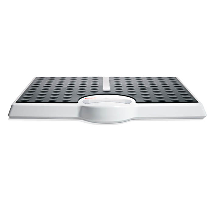 SECA 813 Flat Scale