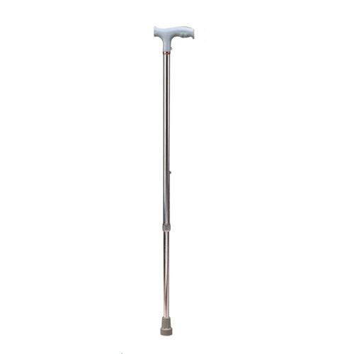 Walking Stick